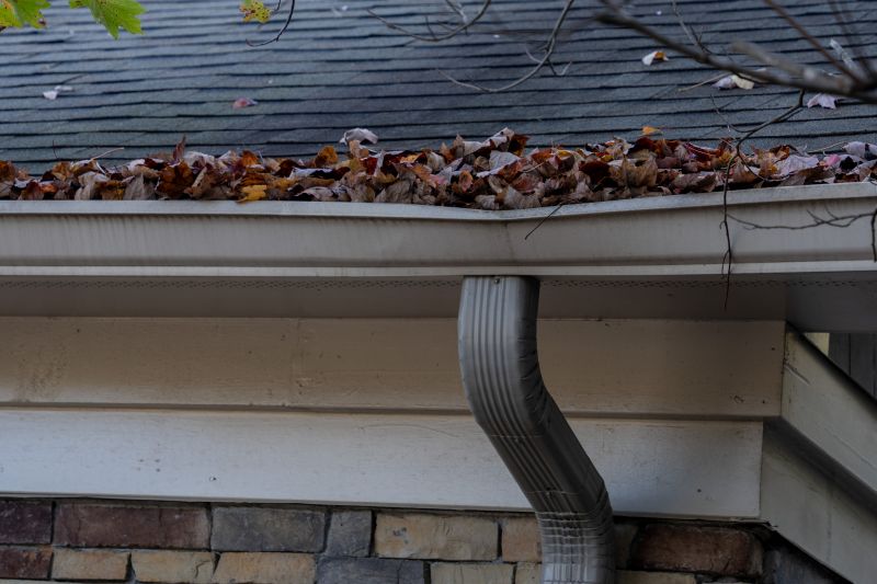 Gutter Debris Removal