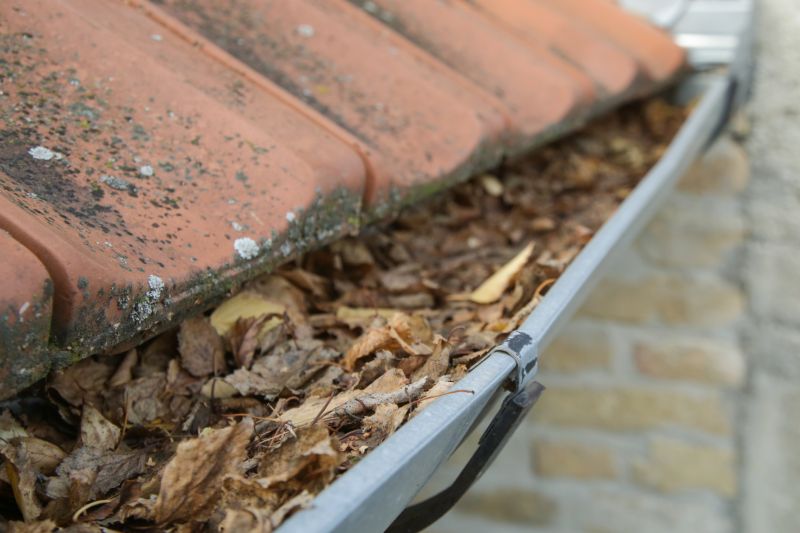 Gutter Shield Installation